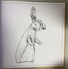 The Velveteen Rabbit by Margery Williams Bonus 4 Coloring Pages Classic Edition