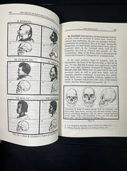 The Origin of Race and Civilization by Charles A. Weisman,Large Print 8.5*11.5”