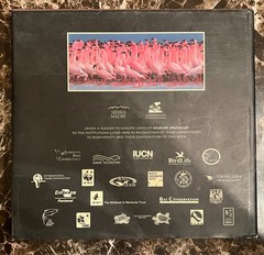Wildlife Spectacles by Russell A Mittermeier – SIGNED