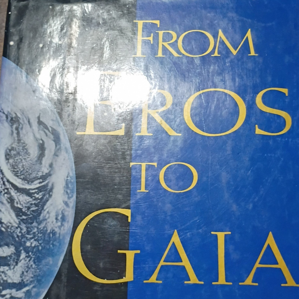 From Eros to Gaia by Freeman Dyson (1992, Pantheon Books, Hardcover)