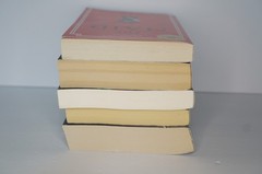 Thriller Book Lot 5 Mystery Shari Lapena Maid Appeal That’s Not My Name PB