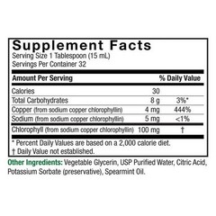 Chlorophyll Liquid 16 Oz by Nature’s Answer