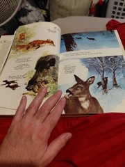 The Living Forest by Rien Poortvliet (1979, Hardcover)