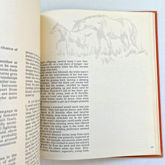 EQUUS by Robert Vavra – First Edition 1977 Hardcover Vintage