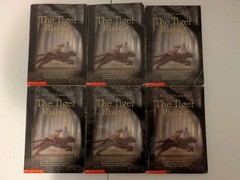 Lot of 6 The Tiger Rising by Kate DiCamillo Guided Reading Teacher Class Set