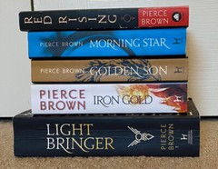 Young Adult Fiction – Choose your own series/trilogy