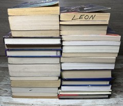 Lot of 28 Grade 3-6 Chapter Books Novels 14lbs / 39 Clues, ECHO , School of Fear