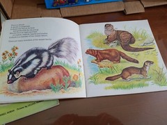 Lot 3 of children’s stories animals kids bad days