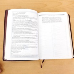 Zondervan The NIV Study Bible 10th Anniversary Edition 1995 Red Letter, Leather