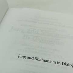 Jung and Shamanism in Dialogue by C Michael Smith PB 2007 Damaged