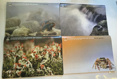 Set of 4 Ohio Field Guides: Spider Lichen Fish Amphibian – Nature Naturalist