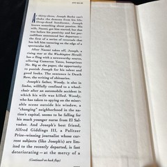Love and Obits by John E. Bradley Signed 1st Ed. HCDJ Romantacy Louisiana 1992