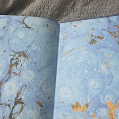 The Astral Library Kate Quinn Signed Hardcover 1st Ed HarperCollins English
