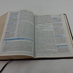 The Quest Study Bible New International Version Bonded Leather Large Print