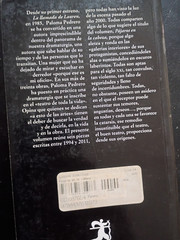 VIRTUDES SERRANO/PAJAROS EN LA CABEZA, PALOMA PEDRERO PB