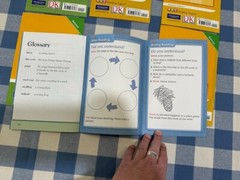 Lot 9 ALL DK Readers Interactive Science ELL Reading Support Homeschool Lv 1