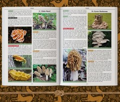 Wilderness Long-Term Survival Guide: Forgotten Skills to Make the Wild Your Home