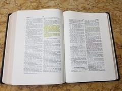 RARE 1999 USA NASB Bible Wide Margin Unknown Leather Opaque Paper USED L@@K🌟