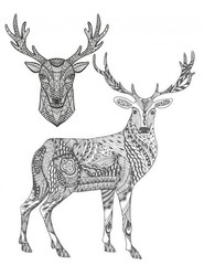 Deer best Coloring Book for Adults and Teens 108 Pages 8.5 x 11 for All Ages
