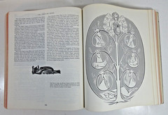 NEW AMERICAN BIBLE w Apocrypha Catholic Press Soft Cover 1971