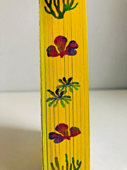 SIGNED Remarkably Bright Creatures by Shelby Van Pelt Trade PB ~ STENCILED EDGES