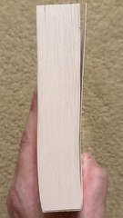 DEATH VALLEY IN ’49: AN AUTOBIOGRAPHY BY WILLIAM LEWIS MANLY 2016 SKYHORSE TPB