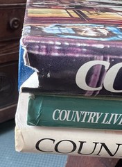3 VTG 90’s 2000’s Country Style Interior Decorating Books HC Farmhouse 10.75″