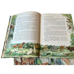 The Bible Story 1-5 8-10 Books Arthur S. Maxwell Hardcovers 1956 Children HC