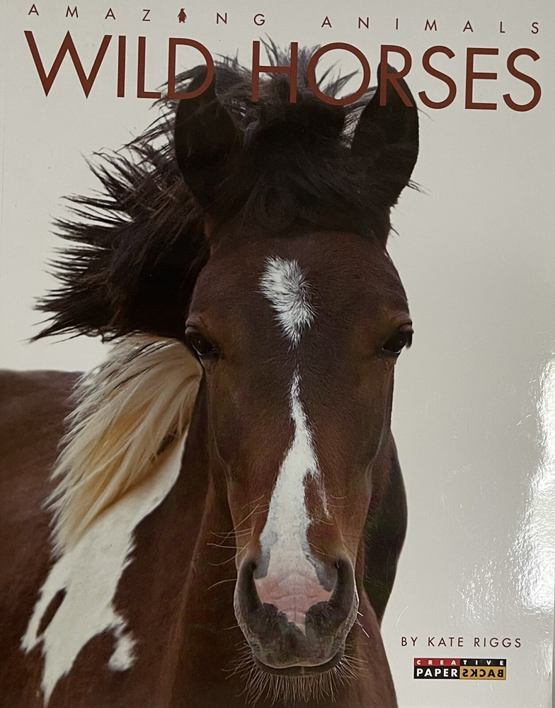 AMAZING ANIMALS: WILD HORSES By Kate Riggs