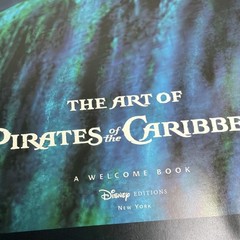 Art of Pirates of the Caribbean by (2007, Hardcover) Disney Editions