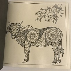 Coloring Book For Adults For Mindful People Stress Relieving Designs Volume 2 NW