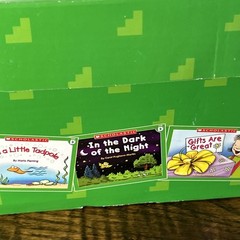Scholastic Little Leveled Readers Levels B-74, C-71, D-75 Books 220 Total Books