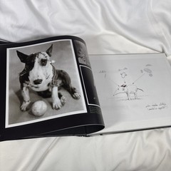 Frankenweenie The Visual Companion Tim Burton Disney Editions Hardcover Artbook