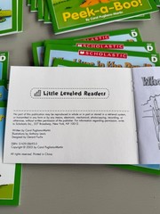 Scholastic Little Leveled Readers LEVEL D 75 Books (5 Copies 15 Titles) Box Set