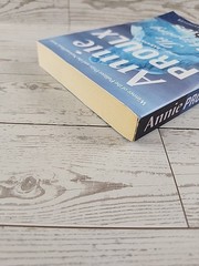 The Shipping News – Paperback By E. Annie Proulx – GOOD