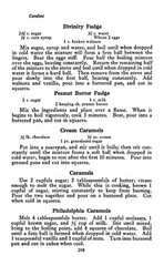 1914 Culinary Echoes From Dixie Cook Book 282 Pages