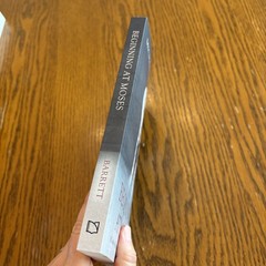 Beginning At Moses By Michael P. V. Barrett PB