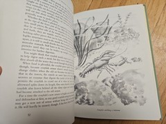 Tracking the Unearthly Creatures of Marsh and Pond – Howard G Smith