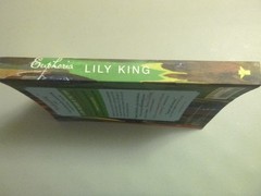 Euphoria by Lily King