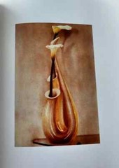 NEW RARE 1st ED 88/100 SLIPCASE CLAMSHELL BOX SIGNED Sheila Metzner Color BOOK