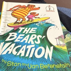 Berenstain Bears hardcover Book Lot of 8 Stan & Jan Berenstain Illustrated
