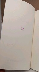 Kelsie Stelting – Chasing Skye, Signed, Bookworm Box Edition, Paperback, READ