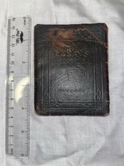 Friendship and Other essays: Little Leather Library, Redcroft Edition