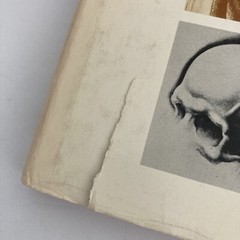 Drawing Book Lot: Head & Figure, Anatomy, The Human Head, Burne Hogarth, VG Cond