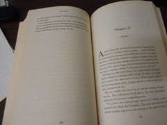 THE FIDDLER -BEVERLY LEWIS – 336 PAGES – PAPERBACK – PRE-OWNED – GOOD