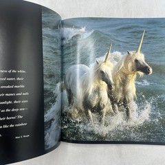 SIGNED Unicorns I Have Known Robert Vavra Hardcover wtih Dust Jacket 1983 HCDJ