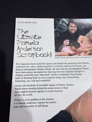 PAMELA ANDERSON IN PICTURES 1996 PAPERBACK BOOK BY STEPHEN WAYDA Excellent Cond