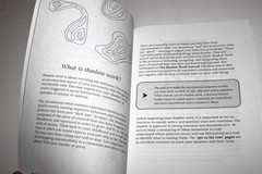 The Shadow Work Journal : a Guide to Integrate & Transcend Your Shadows (2023)