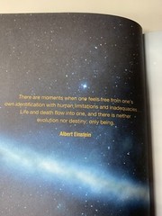 Three Principles of Oneness : How Embodying the Cosmic Perspective Can Liberate