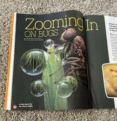 🟥 May 2026 Highlights magazine The Zoom on Bugs, Sand SPECIAL ISSUE photos